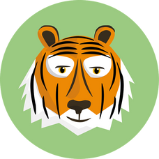 TigerFormel™ Original Shop logo