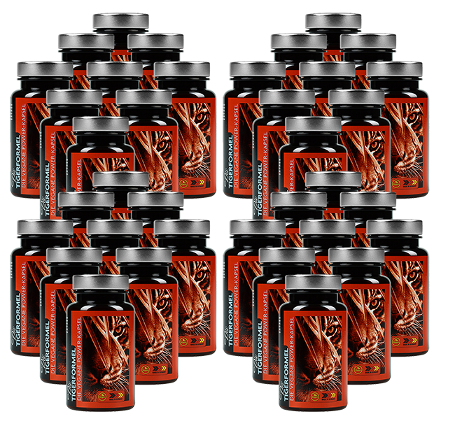 36x Tigerformel Sparpaket