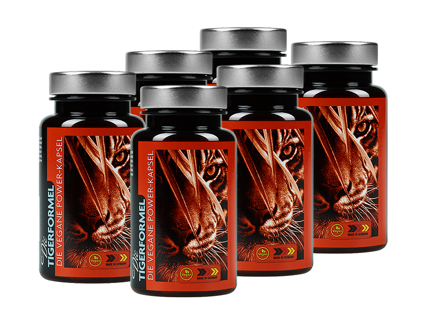 6x Tigerformel Sparpaket - Spare HEUTE 90%